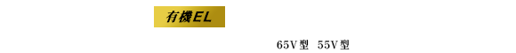 タイムシフトマシン 4K有機ELレグザ X9 SERIES 65V型 55V型 X9900R
