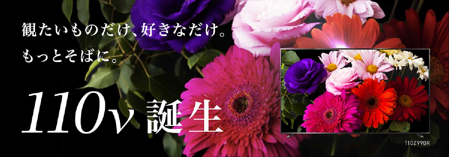 観たいものだけ、好きなだけ。もっとそばに。110v 誕生
