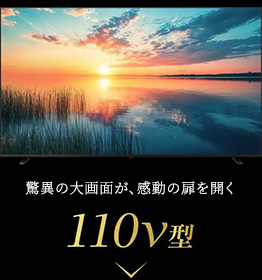 レグザ史上最大の感動を 110v型